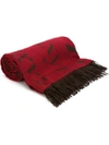 ASSOULINE 'DIDOT' SCARF,978161428353911212579