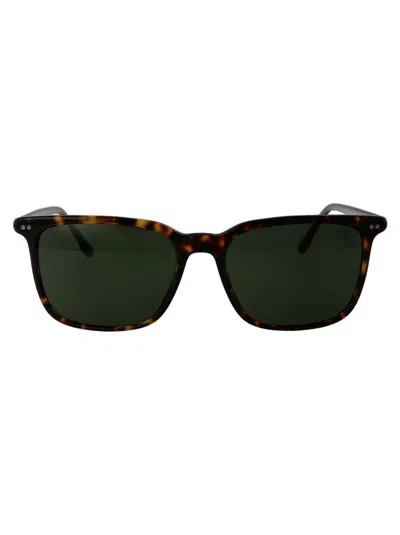 Polo Ralph Lauren Sunglasses In 500371 Shiny Dark Havana