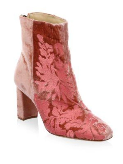 Alexandre Birman 70mm Regina Floral Velvet Boots, Pink In Pale Cherry
