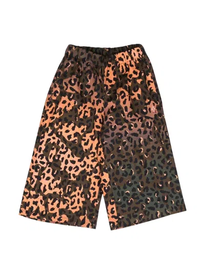 Marcelo Burlon County Of Milan Kids' Cheetah-print Cotton Pants In Marrone