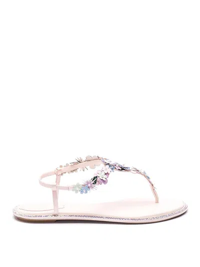 René Caovilla Thong Sandals In Pink
