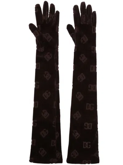 Dolce & Gabbana Logo-debossed Cotton Gloves In Brown
