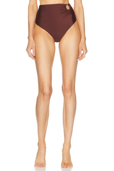 Johanna Ortiz Taita Embellished Bikini Briefs In Brown