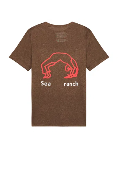 District Vision Hemp T Shirt In Cacao