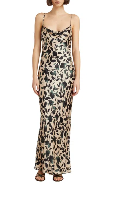 Bec & Bridge Silhouette Vine Dress In Floral Print In Multi