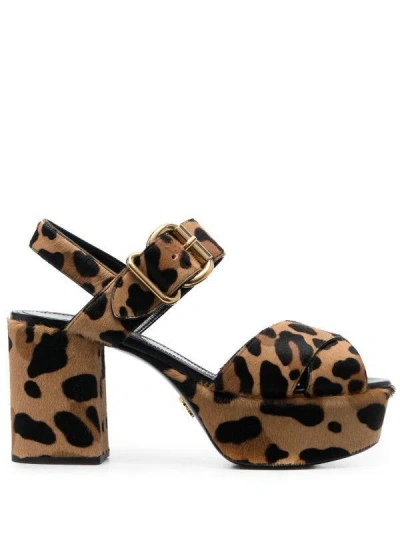 Prada Leopard-print Suede Sandals In Honey Leopard