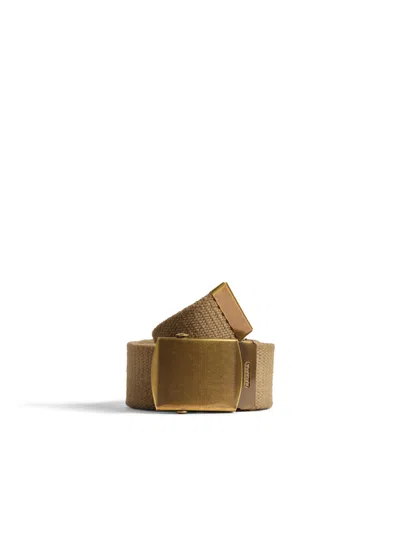 Alex Mill Solid Web Belt In Olive