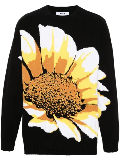 Msgm Floral Intarsia-knit Jumper In Black