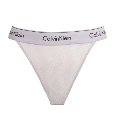 Calvin Klein Modern Lace Semi-sheer Thong In Purple