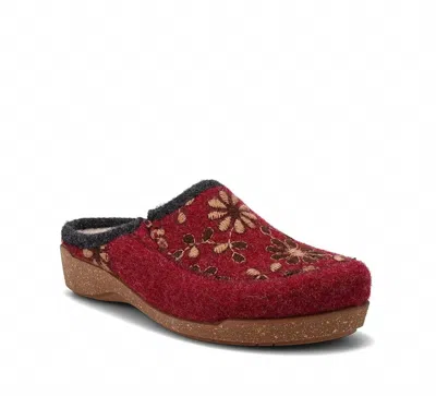 Taos Women's Woolderness 2 Clog In Cranberry In Pink