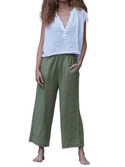 9seed Coney Island Pants In Olive In Green