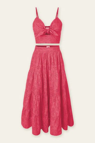 Dress Forum Tropical Vibes Crop Top In Pink