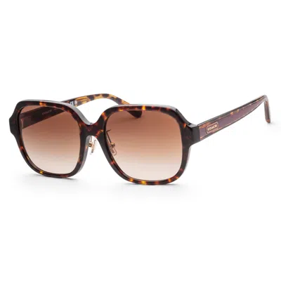 Coach Women's 56mm Dark Tortoise Sunglasses In Brown