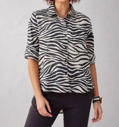 Giftcraft Summer Safari Button Shirt In Zebra Print In Blue