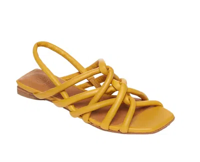 Coclico Women's Falanda Sandal In Ambra In Yellow