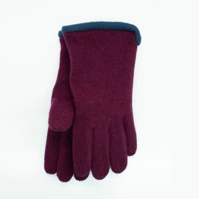 Portolano Gloves With Fleece Lining In Purple