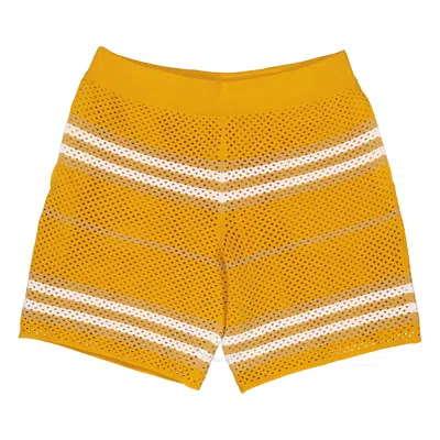 Burberry Knitted Striped Shorts In Gold Tone