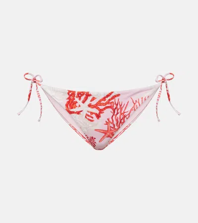 Versace Sea Motif Print Bikini Bottoms In 红色