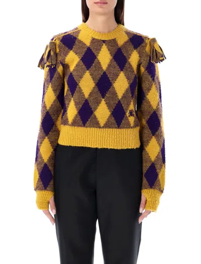 Burberry Embroidered Wool Sweater In Yellow Purple