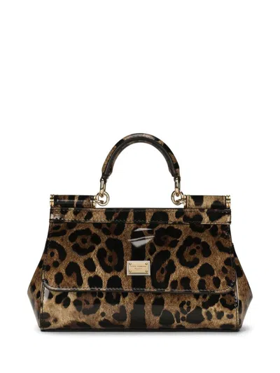 Dolce & Gabbana Sicily Small Leopard Print Handbag In Brown
