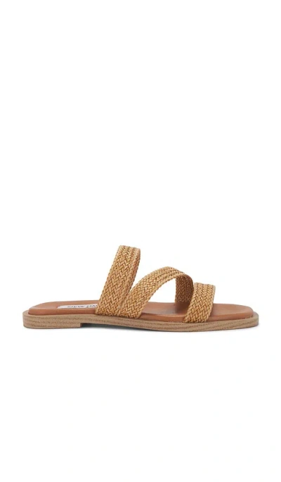 Steve Madden Parkley Sandal In Tan