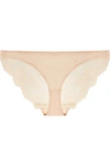 STELLA MCCARTNEY SMOOTH & LACE STRETCH-JERSEY AND LACE BRIEFS