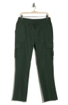 90 Degree By Reflex Mountain Range Cargo Pants In Green