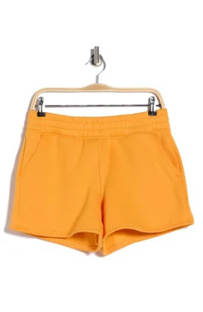 90 Degree By Reflex Varsity Vault Fleece Shorts In Multi