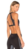 STRUT THIS THE VIXON SPORTS BRA,082B