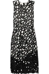 PROENZA SCHOULER TWO-TONE GLOSSED COTTON-BLEND LACE AND CREPE MIDI DRESS