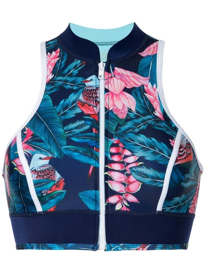 Duskii Tropical Print Bikini Top In Multicolour