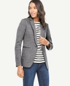 ANN TAYLOR PETITE RELAXED LONGLINE BLAZER,445124