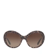 DOLCE & GABBANA Leopard Print Oval Sunglasses,P000000000005435888