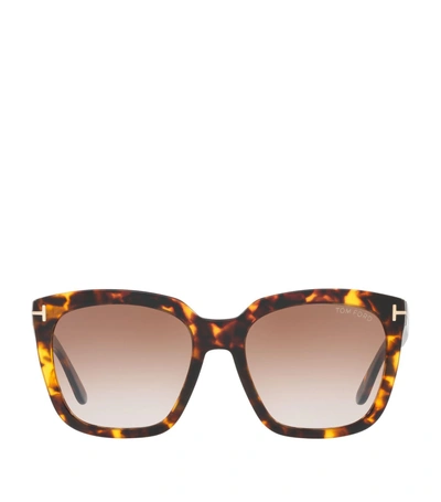 Tom Ford Women's Oversized Square Sunglasses, 55mm In Havana/brown Gradient