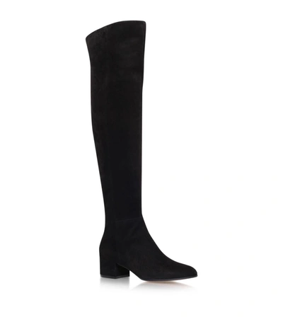 Gianvito Rossi Rolling Suede Over-the-knee Boots In Black