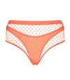 AGENT PROVOCATEUR Shannon Fishnet Bikini Briefs,P000000000005530229