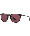 Ray Ban Rb4171 Erika Round-framed Acetate And Metal Sunglasses In Black/purple Polar