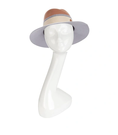 Maison Michel Two-tone Virginie Fedora With Contrast Ribbon In Multi