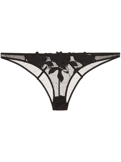 FLEUR DU MAL LILY EMBROIDERED CHEEKY,PY0147010012298081
