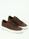 TOD'S SOFT NUBUCK SNEAKERS,8594089