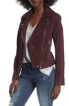 BLANKNYC SUEDE MOTO JACKET,73K-9592NO