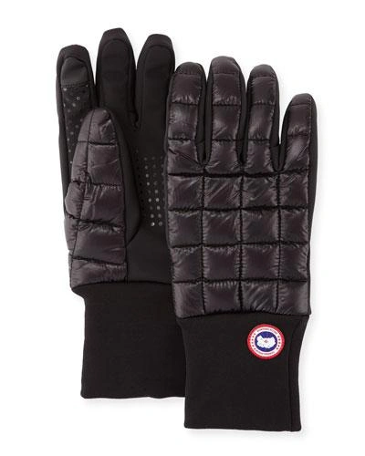 Canada Goose Northern Quilted Shell-down Glove Liners In Black