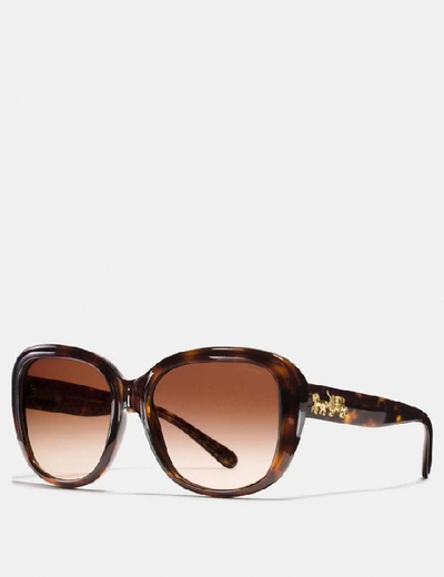 Coach Horse And Carriage Soft Square Sunglasses - Size One In Dark Tortoise/gold