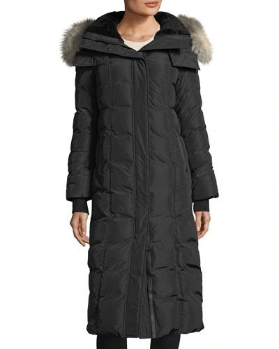 Mackage Jada-cr 800 Fill Power Down Coat With Genuine Shearling & Genuine Coyote Fur Trim In Black