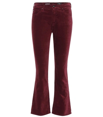 Ag Jodi High-rise Cropped Flare Velvet Trousers In Deep Currant