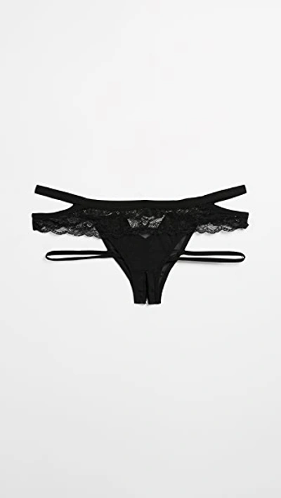 Honeydew Intimates Lucy Elastic & Lace Panties In Black
