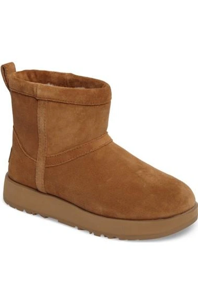 Ugg Chestnut Mini Classic Low Boot In Brown