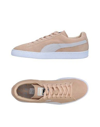 Puma Trainers In Sand