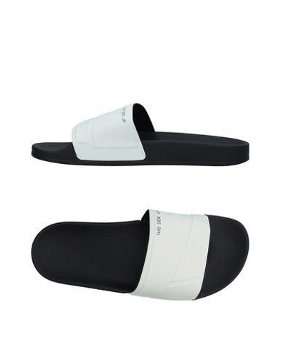 Adidas Originals Sandals In White