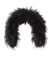 BOGNER RACOON FUR COLLAR,P000000000005773105